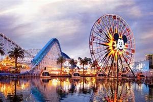 Guide: Disneyland Anaheim to Universal Studios Trip +Tips Study Travel Abroad | Explore Educational Trips & Global Learning Opportunities Guide: Disneyland Anaheim to Universal Studios Trip +Tips | Study Travel Abroad | Explore Educational Trips & Global Learning Opportunities