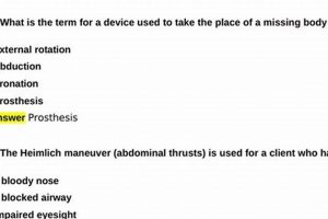 Top CNA Written Test Study Guide [2024 Prep] | Study Travel Abroad | Explore Educational Trips & Global Learning Opportunities