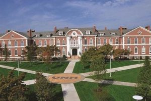Unlock Your Potential: University of New Haven Study Abroad Guide | Study Travel Abroad | Explore Educational Trips & Global Learning Opportunities